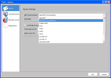 Screenshot of Options->System tab edit