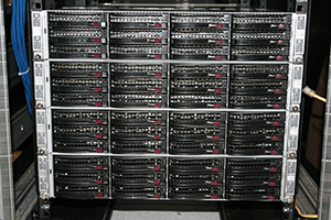 photo of many disks