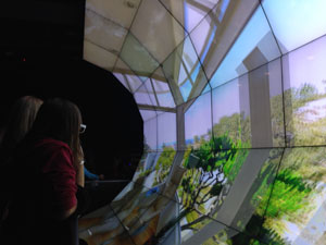 WAVE visualization environment